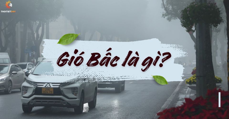 Gió Bấc là gì? Nguồn gốc của câu nói “mưa phùn gió bấc” là gì?